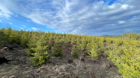 Recreational Land for Sale in Clearwater County, Idaho - image 10