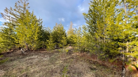 Buildable Land for Sale in Orofino, Idaho - image 11