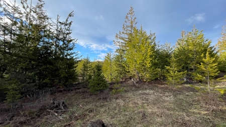 Buildable Land for Sale in Orofino, Idaho - image 10