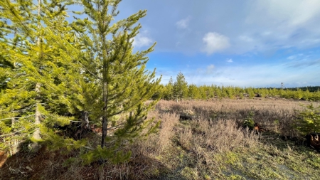 Buildable Land for Sale in Orofino, Idaho - image 12