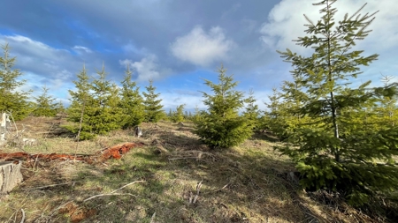 Buildable Land for Sale in Orofino, Idaho - image 5