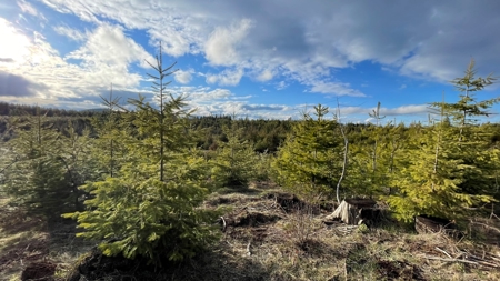 Buildable Land for Sale in Orofino, Idaho - image 3