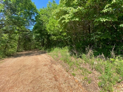 80 Acres Land For Sale Near Buffalo River Newton County - image 2