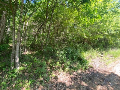 80 Acres Land For Sale Near Buffalo River Newton County - image 1