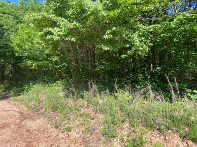 80 Acres Land For Sale Near Buffalo River Newton County - image 5