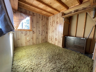Mountain Cabin on 40 acres in Western Colorado - image 15