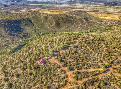 Mountain Cabin on 40 acres in Western Colorado - image 8