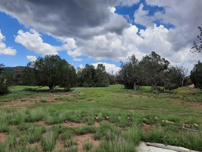 Self Sustaining Northern AZ Property - image 13