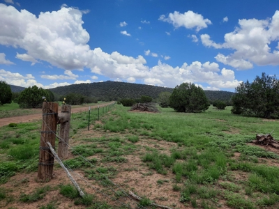 Self Sustaining Northern AZ Property - image 18
