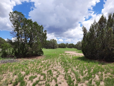 Self Sustaining Northern AZ Property - image 8