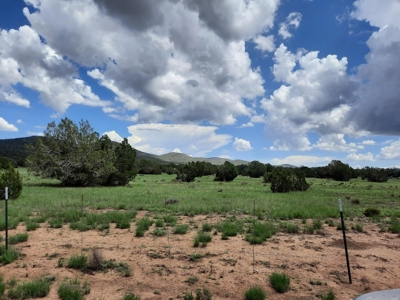 Self Sustaining Northern AZ Property - image 20