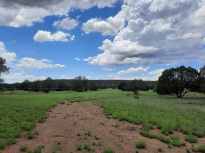 Self Sustaining Northern AZ Property - image 15