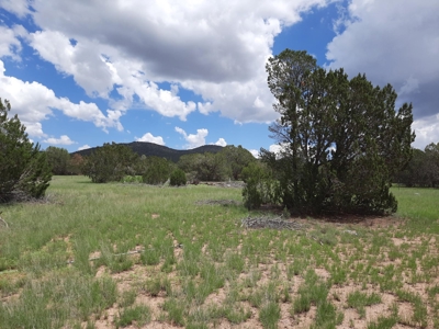 Self Sustaining Northern AZ Property - image 7
