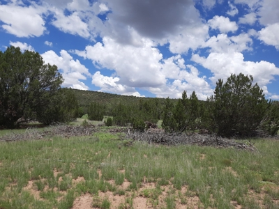 Self Sustaining Northern AZ Property - image 6
