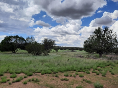 Self Sustaining Northern AZ Property - image 14