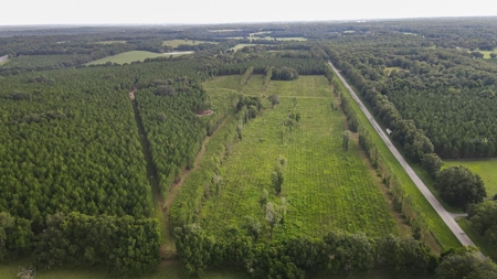 Timber Tract - Alachua Florida- Alachua County Florida - image 1