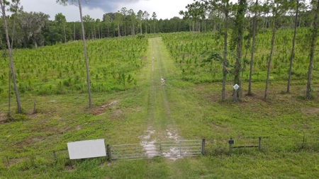Timber Tract - Alachua Florida- Alachua County Florida - image 23