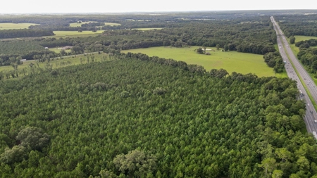 Timber Tract - Alachua Florida- Alachua County Florida - image 11