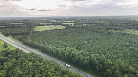 Timber Tract - Alachua Florida- Alachua County Florida - image 8