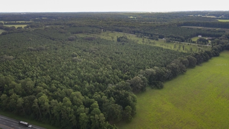 Timber Tract - Alachua Florida- Alachua County Florida - image 5