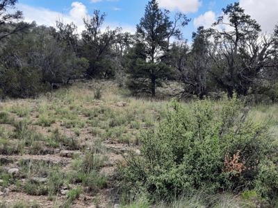 Very Secluded - image 1
