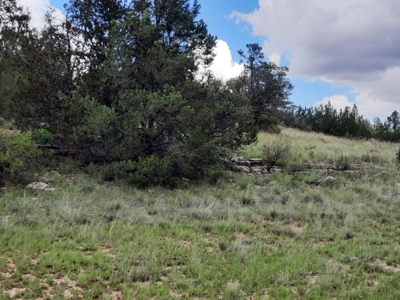 Very Secluded - image 7