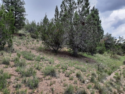 Very Secluded - image 4