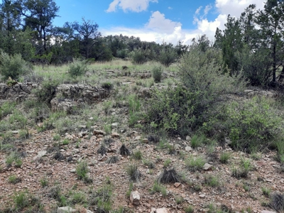 Very Secluded - image 5