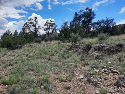 Very Secluded - image 6
