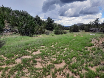 At The End Of The Road - image 1