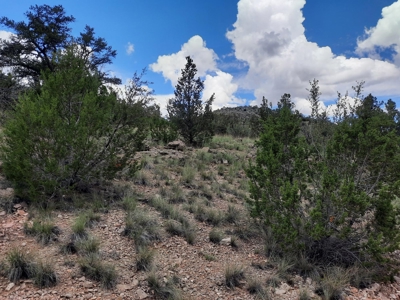 At The End Of The Road - image 3