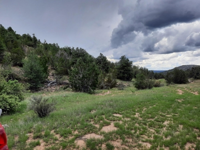 At The End Of The Road - image 6