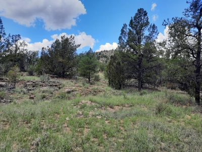 At The End Of The Road - image 4