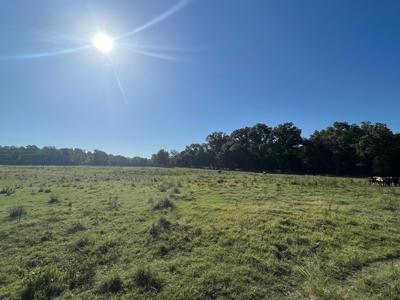 Beautiful Building Site With Mountain Views Muse,Ok - image 7