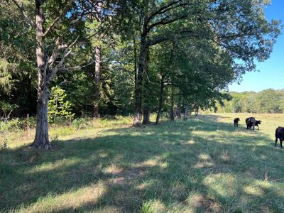 Beautiful Building Site With Mountain Views Muse,Ok - image 8