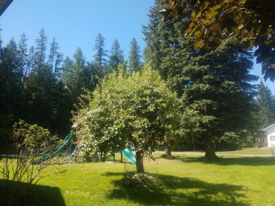 Large Home In Noxon Montana For Sale - image 13
