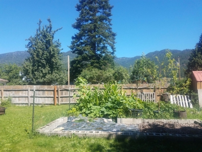 Large Home In Noxon Montana For Sale - image 12