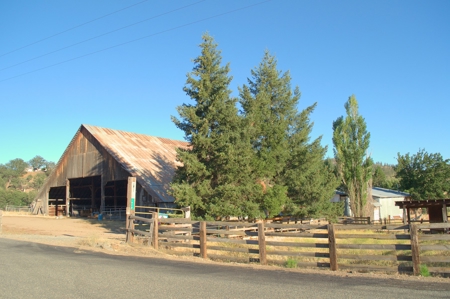 Scott Valley Ranch 47+- Irrigated acres - image 34