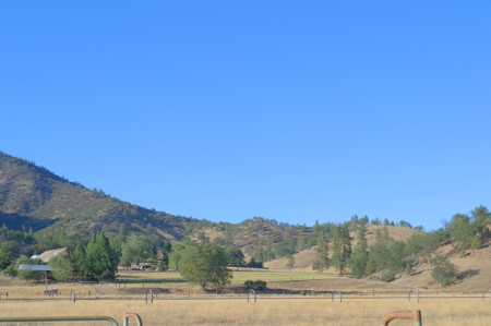 Scott Valley Ranch 47+- Irrigated acres - image 22