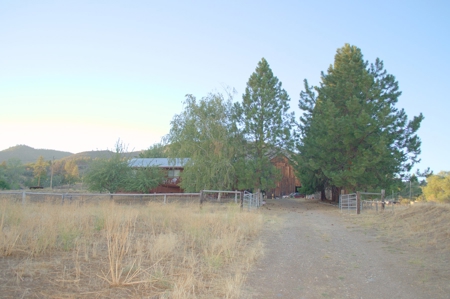 Scott Valley Ranch 47+- Irrigated acres - image 20
