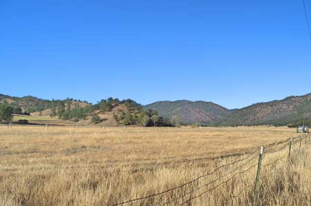 Scott Valley Ranch 47+- Irrigated acres - image 24