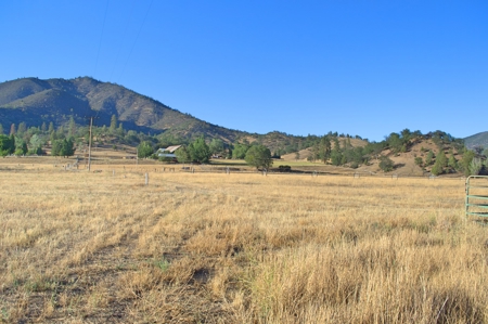 Scott Valley Ranch 47+- Irrigated acres - image 23