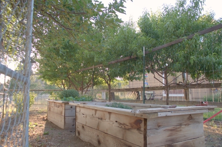 Scott Valley Ranch 47+- Irrigated acres - image 40