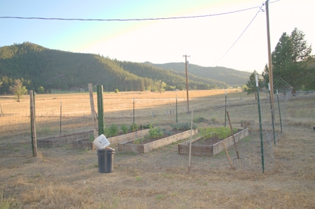 Scott Valley Ranch 47+- Irrigated acres - image 17