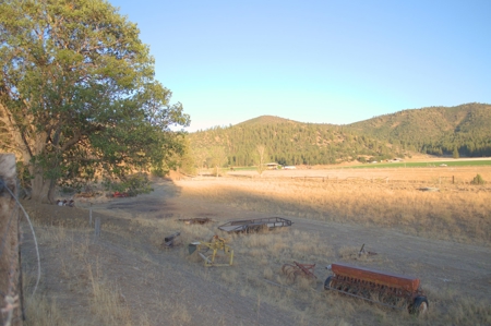 Scott Valley Ranch 47+- Irrigated acres - image 15