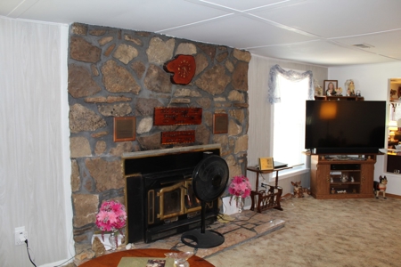 Country Home near Bull Shoals Lake in Protem, MO - image 5