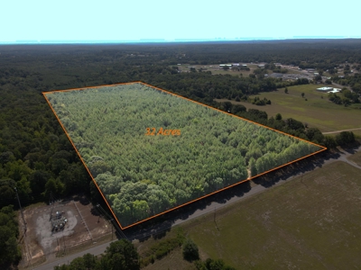 Hunting and Timber Land For Sale in Harleton, Texas - image 1