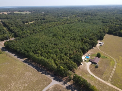 Hunting and Timber Land For Sale in Harleton, Texas - image 14
