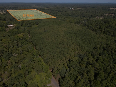Hunting and Timber Land For Sale in Harleton, Texas - image 9