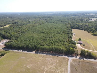 Hunting and Timber Land For Sale in Harleton, Texas - image 15